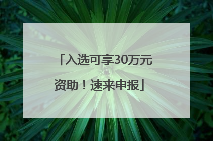 入选可享30万元资助！速来申报