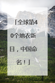 全球第40个地衣新目，中国命名！