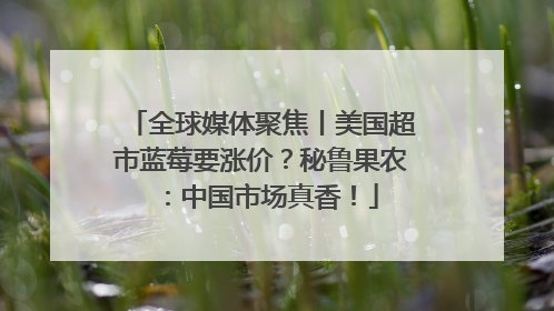 全球媒体聚焦丨美国超市蓝莓要涨价？秘鲁果农：中国市场真香！