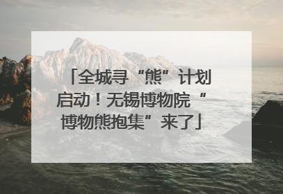 全城寻“熊”计划启动！无锡博物院“博物熊抱集”来了