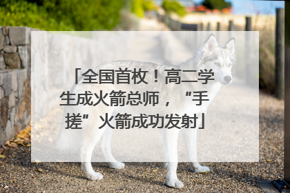 全国首枚！高二学生成火箭总师，“手搓”火箭成功发射