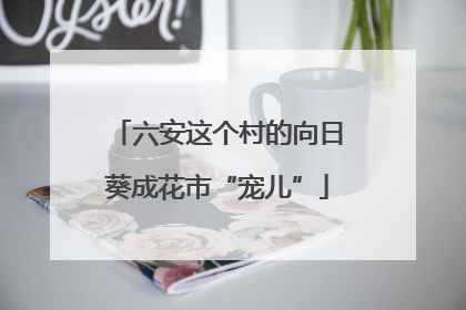 六安这个村的向日葵成花市“宠儿”