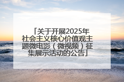 关于开展2025年社会主义核心价值观主题微电影（微视频）征集展示活动的公告