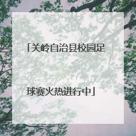关岭自治县校园足球赛火热进行中