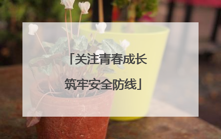 关注青春成长 筑牢安全防线
