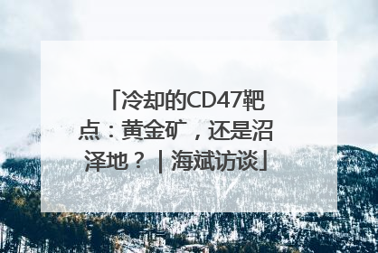 冷却的CD47靶点：黄金矿，还是沼泽地？｜海斌访谈