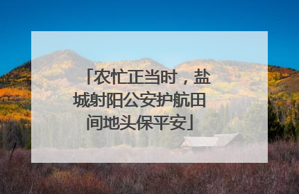 农忙正当时，盐城射阳公安护航田间地头保平安