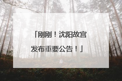 刚刚！沈阳故宫发布重要公告！