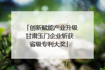 创新赋能产业升级 甘肃玉门企业斩获省级专利大奖