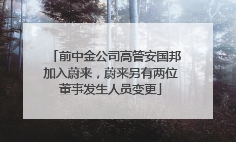 前中金公司高管安国邦加入蔚来，蔚来另有两位董事发生人员变更