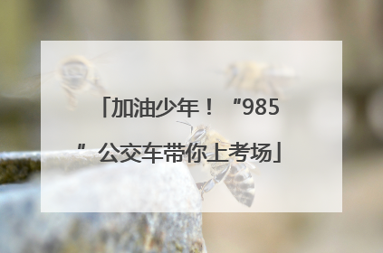 加油少年！“985”公交车带你上考场