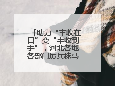 助力“丰收在田”变“丰收到手”，河北各地各部门厉兵秣马迎战“三夏”