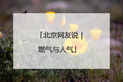 北京网友说｜燃气与人气