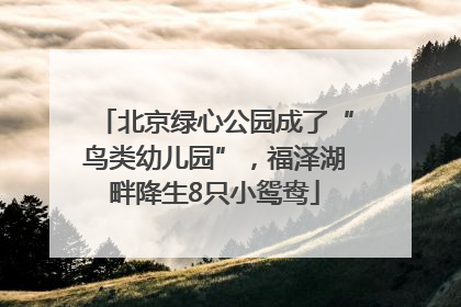 北京绿心公园成了“鸟类幼儿园”，福泽湖畔降生8只小鸳鸯