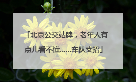 北京公交站牌，老年人有点儿看不懂……车队支招