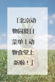 北京动物园夏日菜单丨动物食堂上新啦！