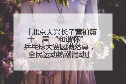 北京大兴长子营镇第十一届 “和谐杯” 乒乓球大赛圆满落幕，全民运动热潮涌动
