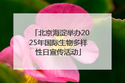 北京海淀举办2025年国际生物多样性日宣传活动