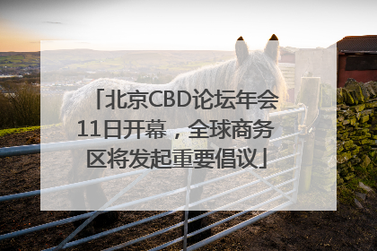 北京CBD论坛年会11日开幕，全球商务区将发起重要倡议