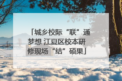 城乡校际“联”通梦想 江夏区校本研修现场“结”硕果