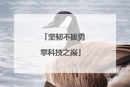 坚韧不拔勇攀科技之巅