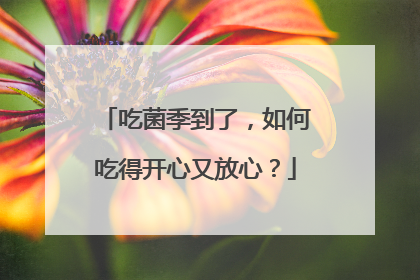 吃菌季到了，如何吃得开心又放心？