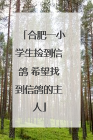 合肥一小学生捡到信鸽 希望找到信鸽的主人