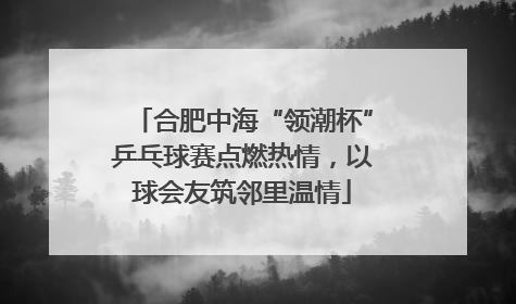 合肥中海“领潮杯”乒乓球赛点燃热情，以球会友筑邻里温情