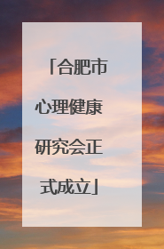 合肥市心理健康研究会正式成立