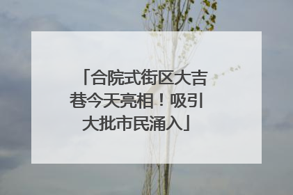 合院式街区大吉巷今天亮相！吸引大批市民涌入