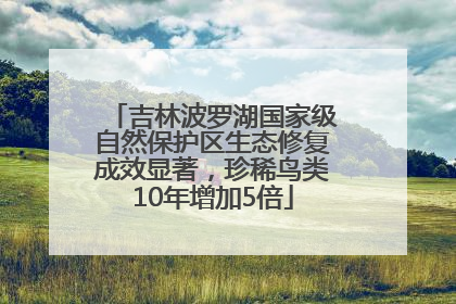 吉林波罗湖国家级自然保护区生态修复成效显著，珍稀鸟类10年增加5倍