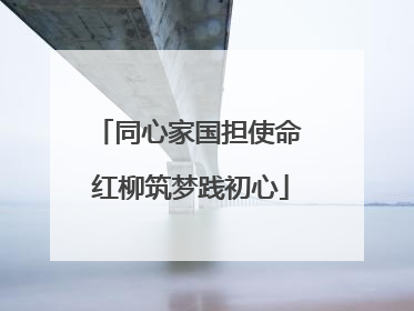 同心家国担使命 红柳筑梦践初心