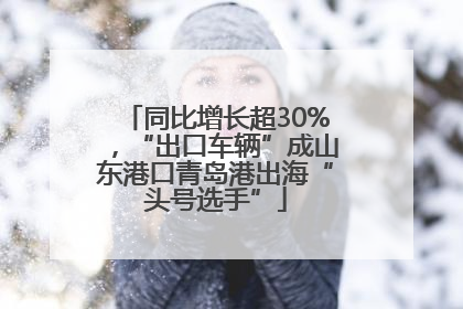 同比增长超30%，“出口车辆”成山东港口青岛港出海“头号选手”