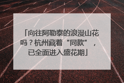 向往阿勒泰的浪漫山花吗？杭州藏着“同款”，已全面进入盛花期