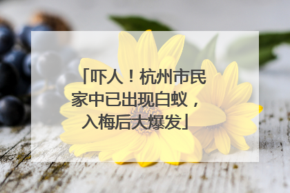吓人！杭州市民家中已出现白蚁，入梅后大爆发