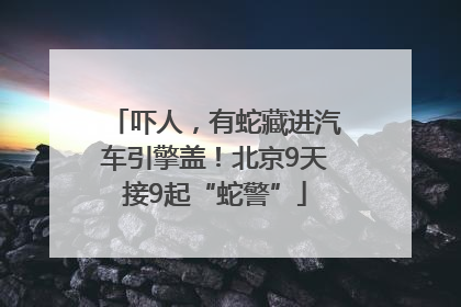 吓人，有蛇藏进汽车引擎盖！北京9天接9起“蛇警”