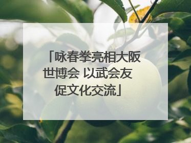 咏春拳亮相大阪世博会 以武会友促文化交流