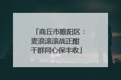 商丘市睢阳区：麦浪滚滚战正酣 干群同心保丰收