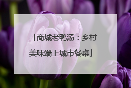 商城老鸭汤：乡村美味端上城市餐桌