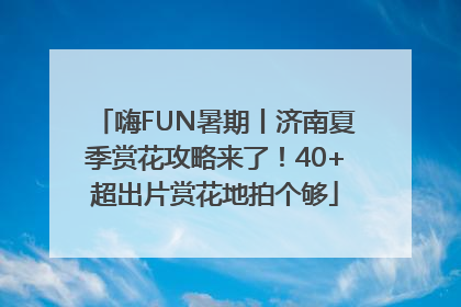 嗨FUN暑期丨济南夏季赏花攻略来了！40+超出片赏花地拍个够