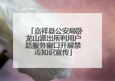 嘉祥县公安局卧龙山派出所利用户籍服务窗口开展禁毒知识宣传