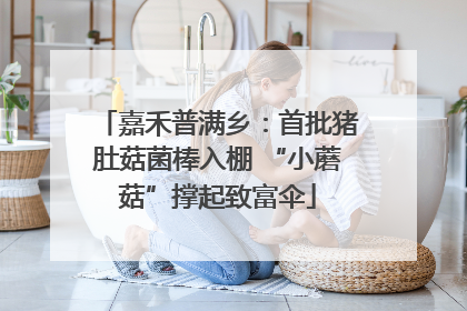 嘉禾普满乡：首批猪肚菇菌棒入棚 “小蘑菇”撑起致富伞