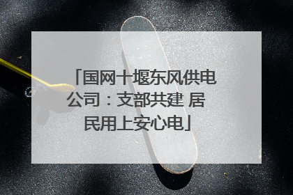 国网十堰东风供电公司：支部共建 居民用上安心电