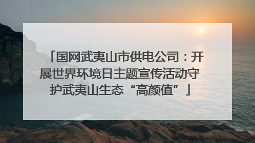 国网武夷山市供电公司：开展世界环境日主题宣传活动守护武夷山生态“高颜值”