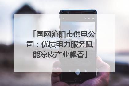 国网沁阳市供电公司：优质电力服务赋能凉皮产业飘香