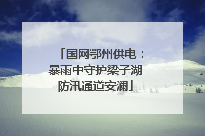国网鄂州供电：暴雨中守护梁子湖防汛通道安澜
