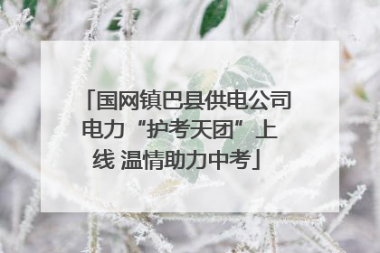 国网镇巴县供电公司 电力“护考天团”上线 温情助力中考