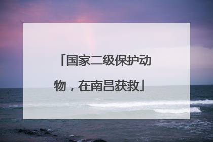 国家二级保护动物，在南昌获救