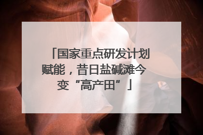 国家重点研发计划赋能，昔日盐碱滩今变“高产田”