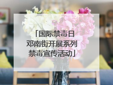 国际禁毒日 邓南街开展系列禁毒宣传活动